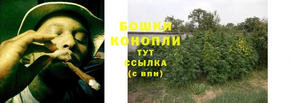 сатива Слюдянка
