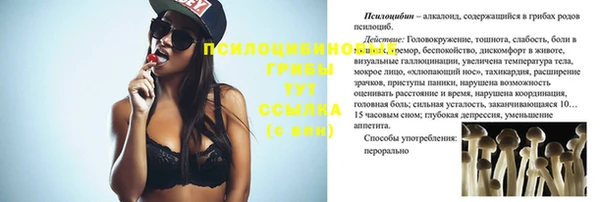 сатива Сосновка