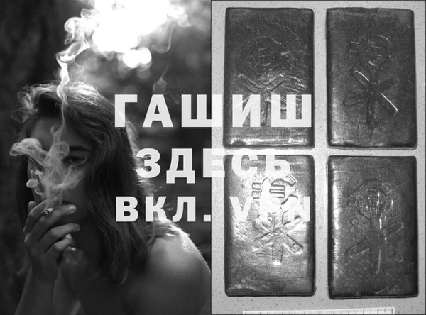 сатива Сосновка