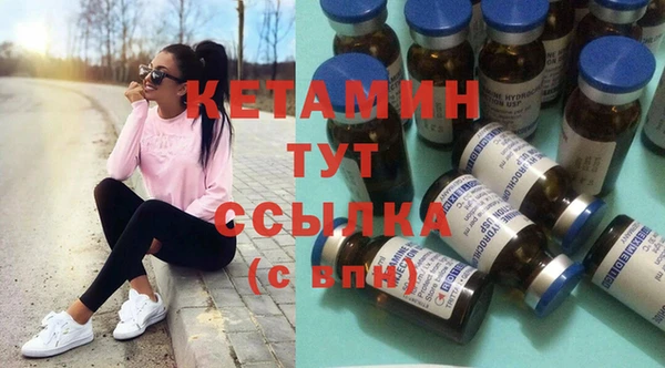 сатива Сосновка