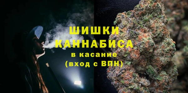 сатива Сосновка