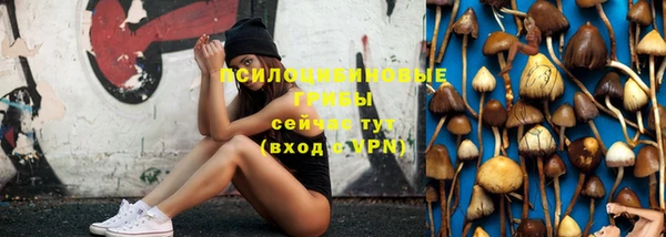 соль курить ск Сосновый Бор
